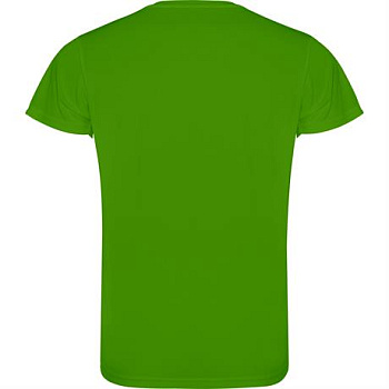Спортивная футболка CAMIMERA мужская, ПАПАРОТНИКОВЫЙ 3XL